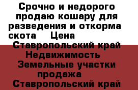 Срочно и недорого продаю кошару для разведения и откорма  скота. › Цена ­ 2 100 000 - Ставропольский край Недвижимость » Земельные участки продажа   . Ставропольский край